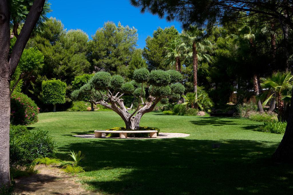 فندق Jardines De Amaltea لوركا المظهر الخارجي الصورة
