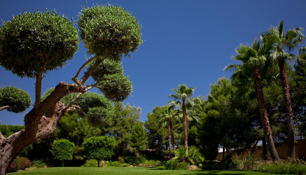 فندق Jardines De Amaltea لوركا المظهر الخارجي الصورة