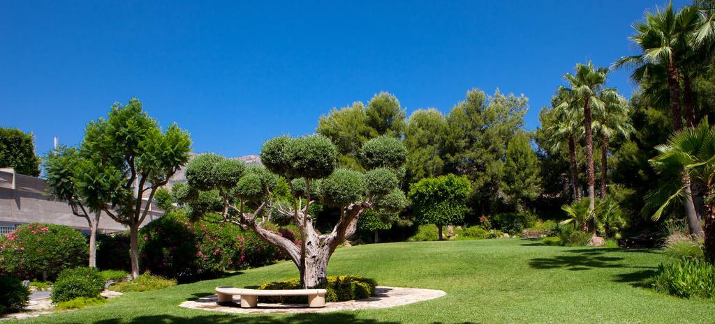 فندق Jardines De Amaltea لوركا المظهر الخارجي الصورة